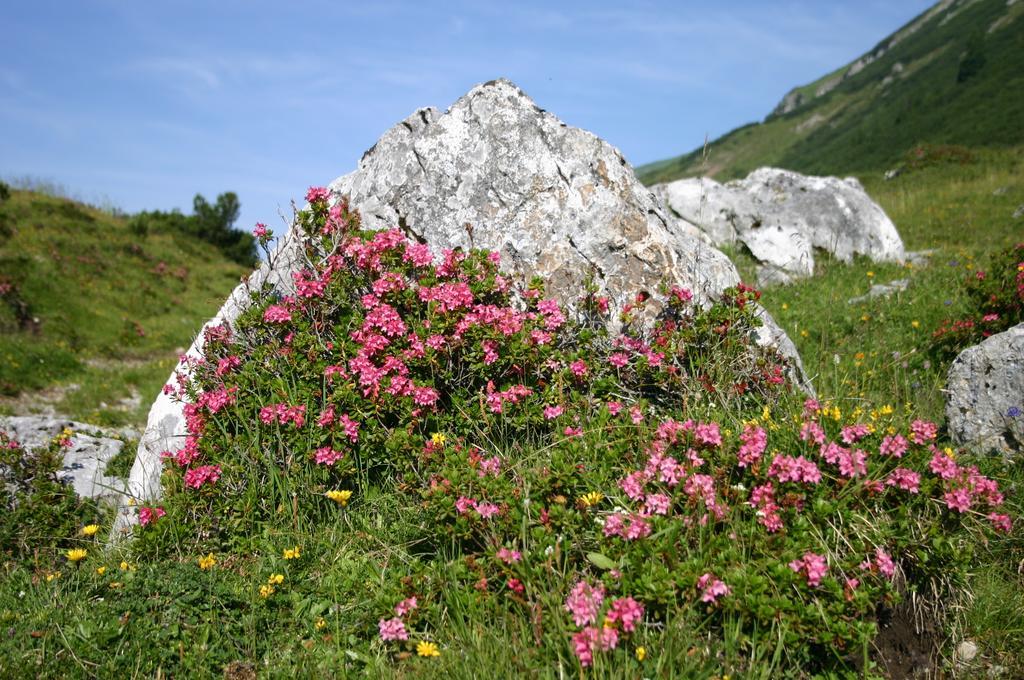 Gasthof "Zur Gemuetlichkeit" Bschlabs Екстер'єр фото